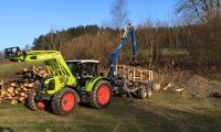 Baumfällungen