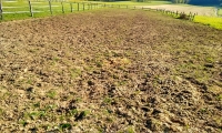 Naturbelassene Reitanlage